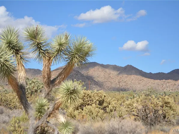 11841 S Sherry Rd, Yucca, AZ 86438