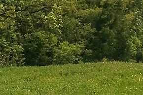 2nd image of 2059 Beauty Creek Ct