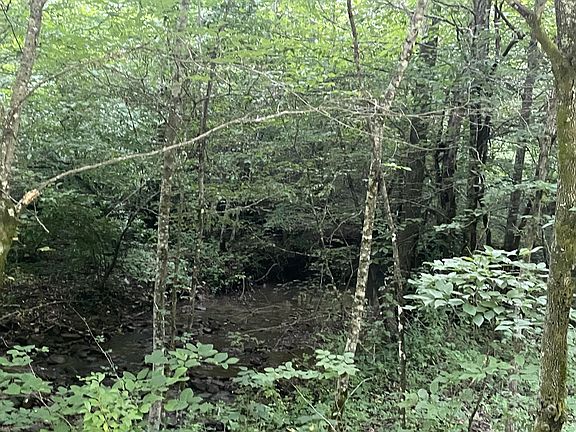 4th image of 0 Little Rock Creek Rd