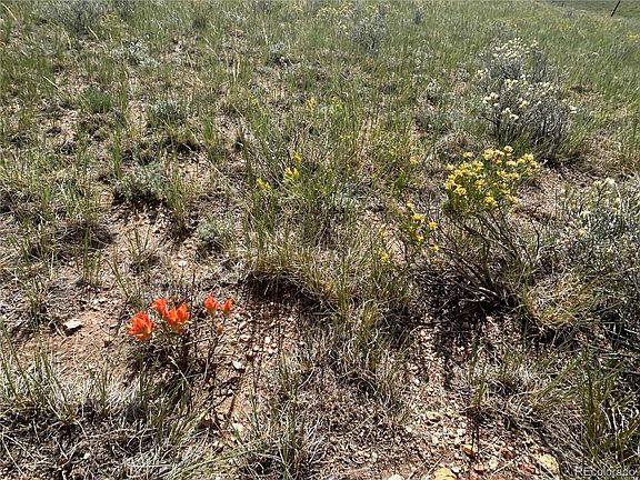 5th image of 11414 Ranch Road LOT 1022
