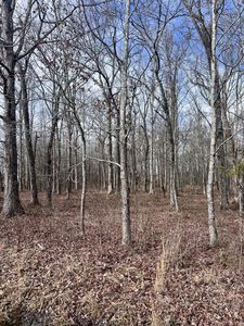 0 Lakewood Park Rd LOT 4, Beechgrove, TN, 37018