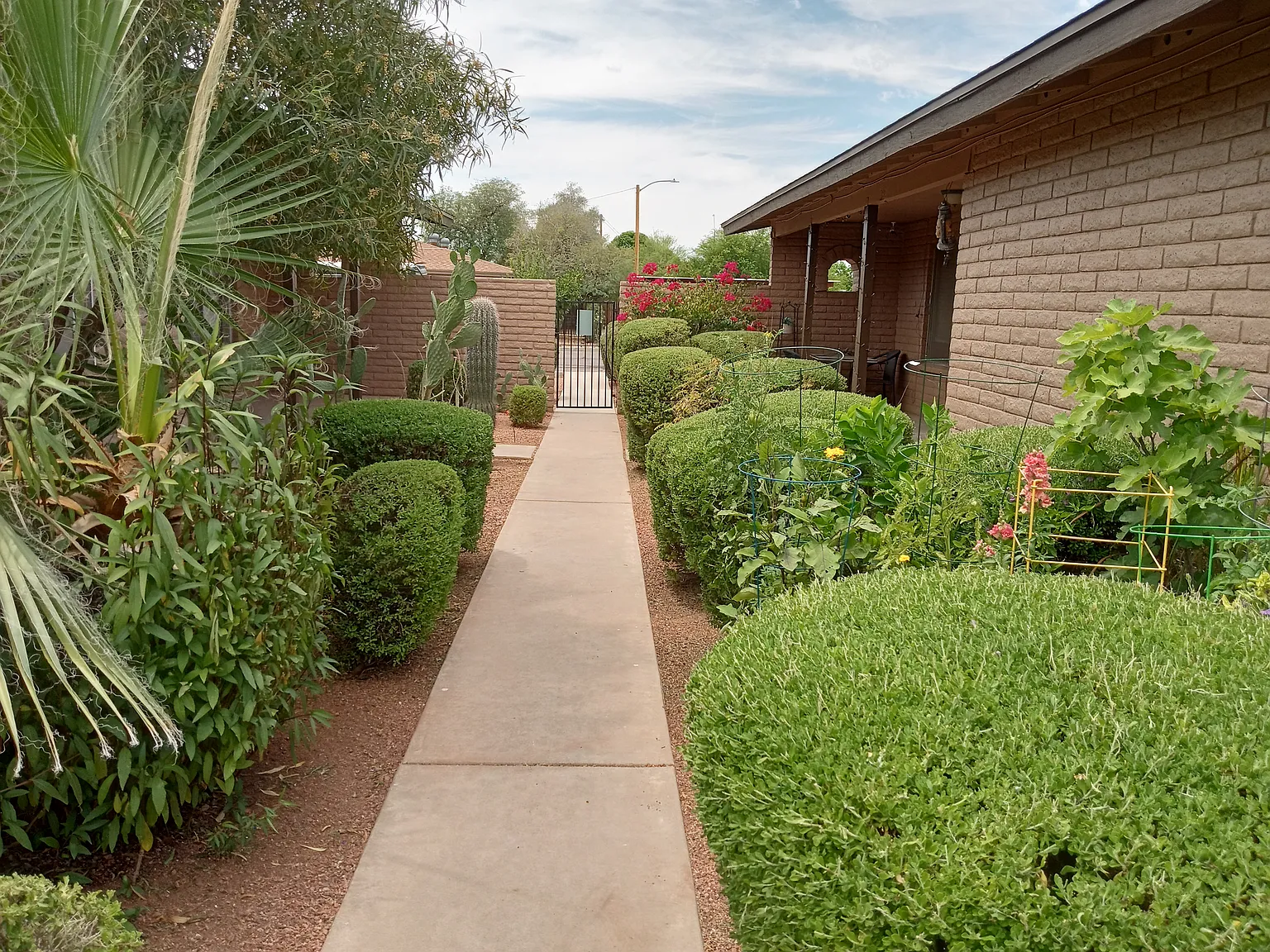 18041 N 40th Pl — Photo 2