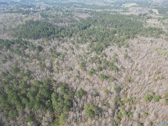 5th image of 80/ACRE S Pine Ridge Rd