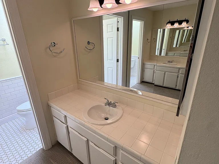 Primary Bathroom Vanity