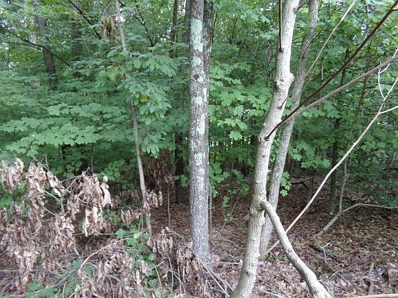 3rd image of Doe Valley Pkwy E #202
