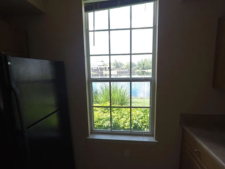 View from the kitchen window