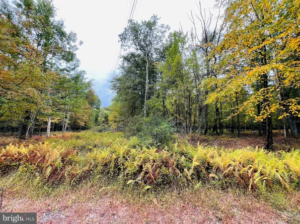 255 Chamonix Ln, Zion Grove, PA 17985