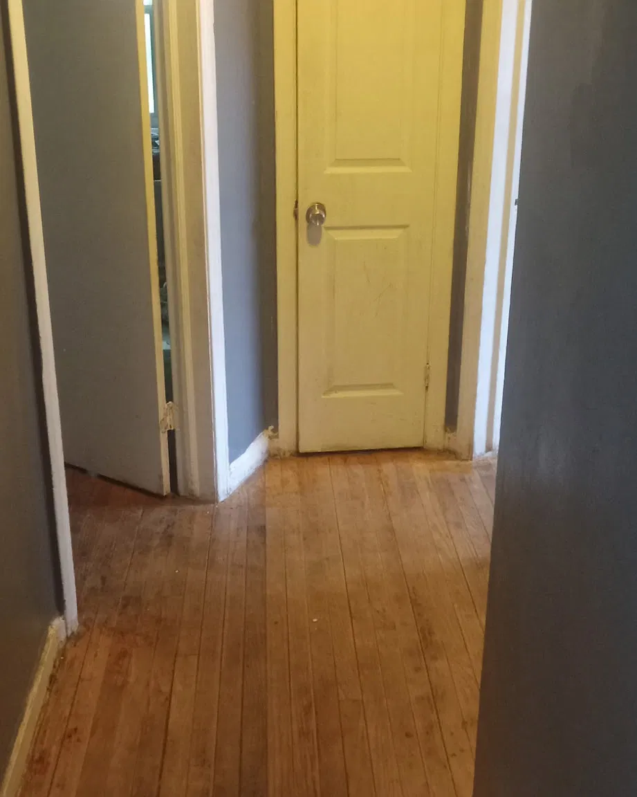 3 bed, 1000 sqft, $1,300 — Photo 2