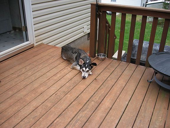 Deck