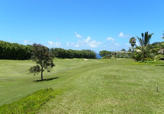 3rd image of 4004 Aloalii Dr