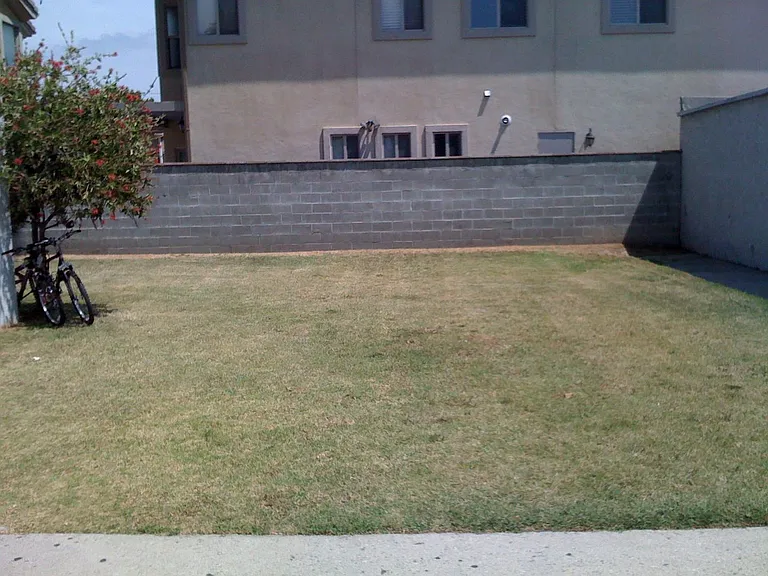 921 Sartori — Photo 2