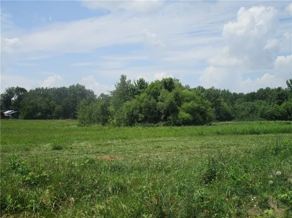 S Magnolia & Walnut St, Pana, IL 62557