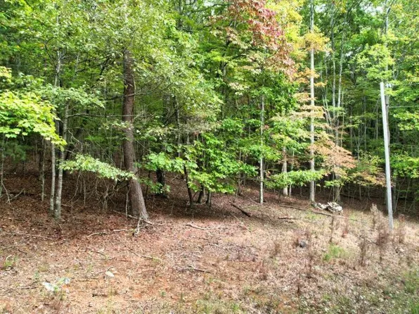 32 Cold Springs Rd, Morganton, GA 30560