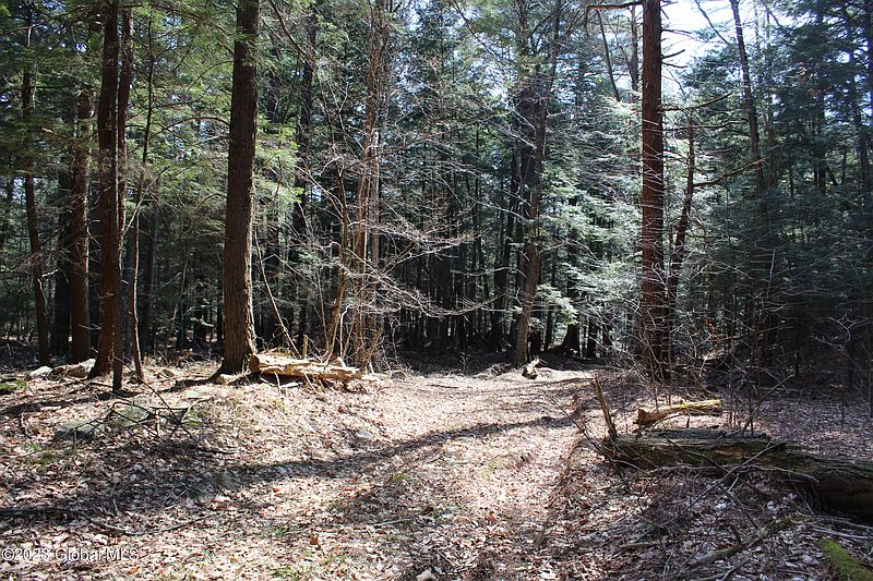 5th image of 353 West Road