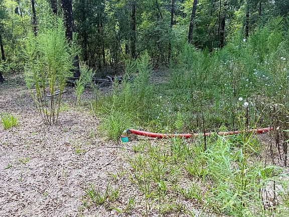 5th image of 853 NW 120th Trl