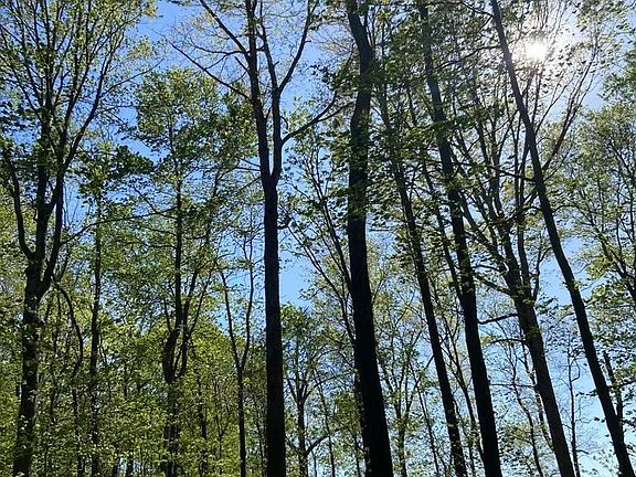 2nd image of 17007 Whites Ferry Rd