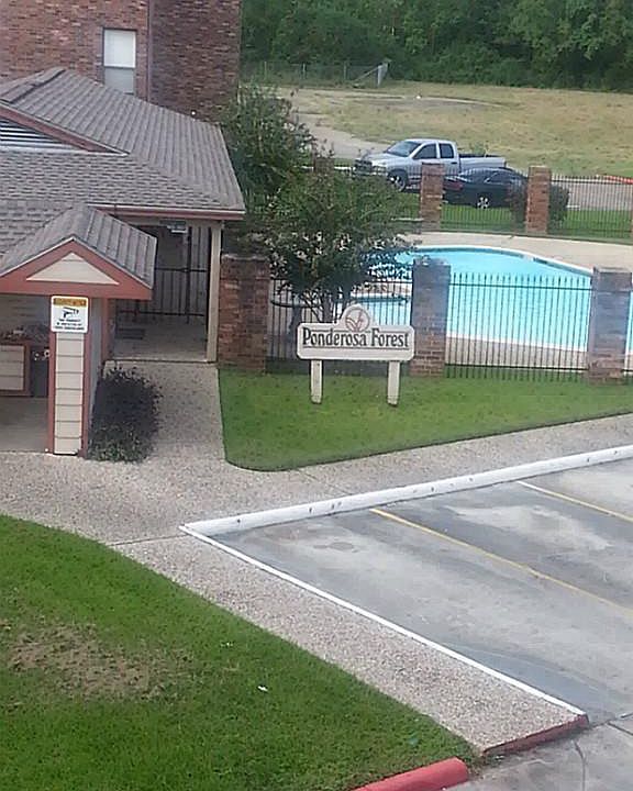 1st image of 2501 Gulf Fwy APT 255