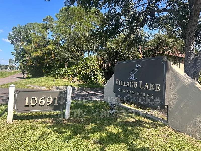 Village Lake — Photo 2