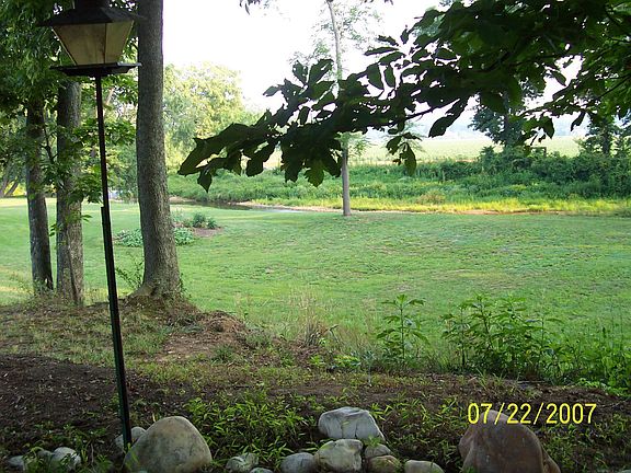 Mills River from Back