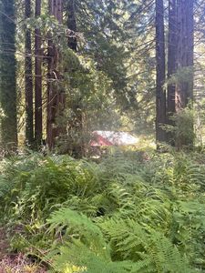 29500 Albion Ridge Road, Albion, CA, 95410
