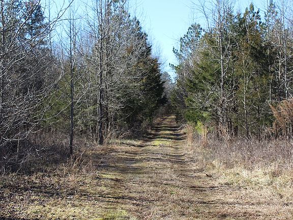 4th image of 3365 Old Kings Hwy