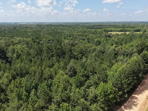 TRACT 1 County Road 4320, De Kalb, TX 75559