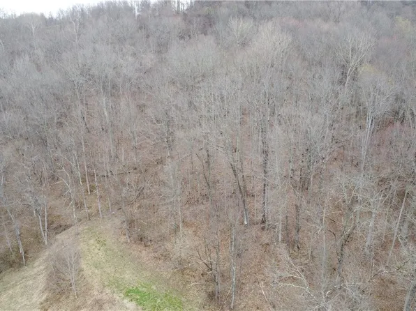 39460 Opossum Creek Rd, Sardis, OH 43946