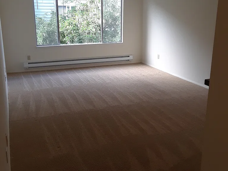 5240 15th Ave NE #302 — Photo 2