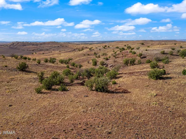 N 8491st, Concho, AZ 85924