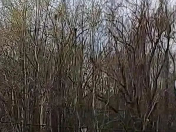 LOT 91 Rosario Dr Lot 91, Baton Rouge, LA 70811