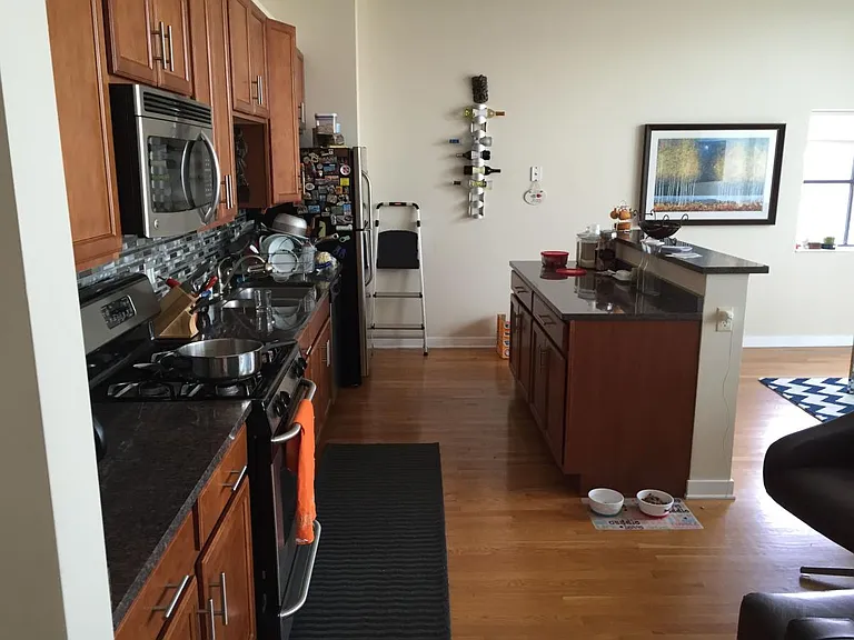 1224 W Van Buren St #413 — Photo 6
