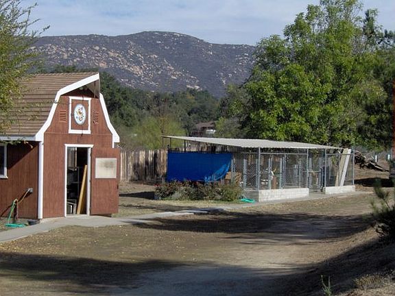Kennels and Barn