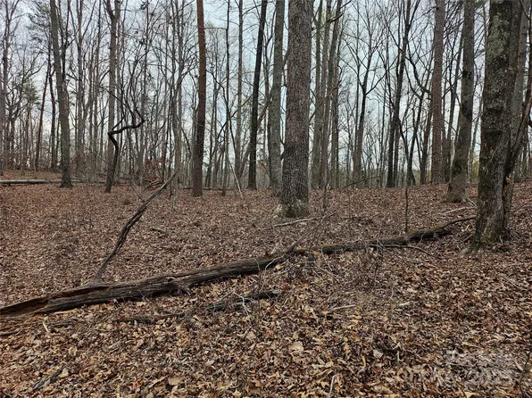 0 Weaver Mill Rd, Columbus, NC 28722