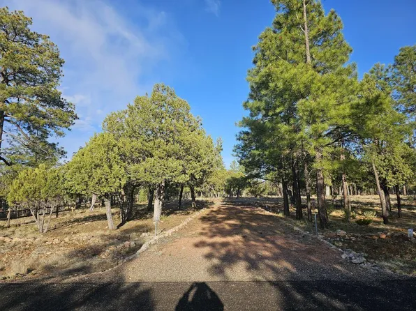 2663 Roundup Ln, Happy Jack, AZ 86024