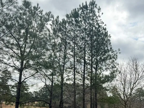 9040 Marsh Mountain Rd #0, Pinson, AL 35126