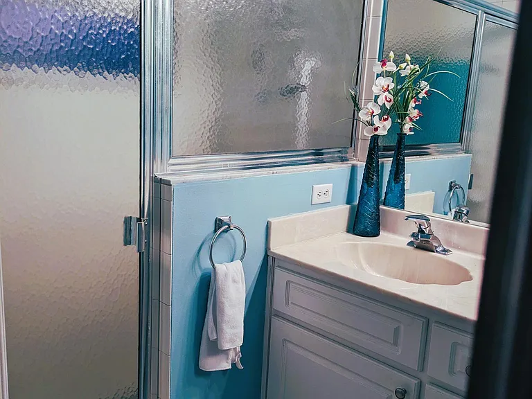 Master Bath with walk-in shower
