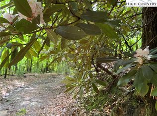 To Be Determined Lyons Rd, Roaring Gap, NC 28668