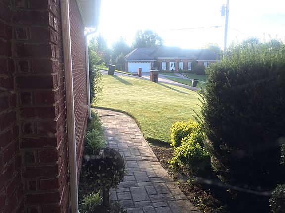 Manicured lawn and shrubs