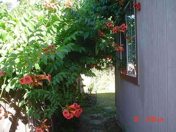 5th image of 5841 N Haven Dr