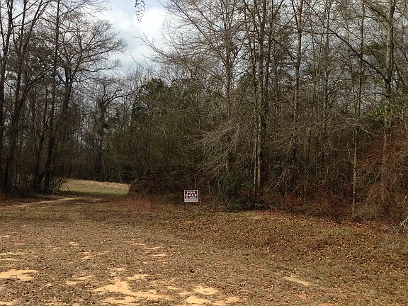 5th image of 51 Coyote Cir