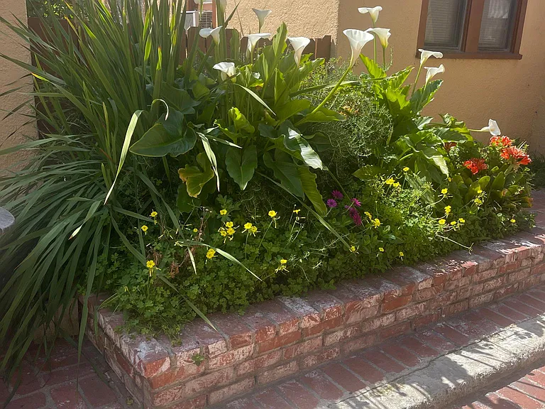 Bakman Ave — Photo 9