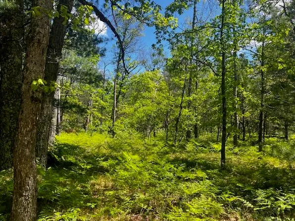 PARCEL 7 W 12th St, Baldwin, MI 49304