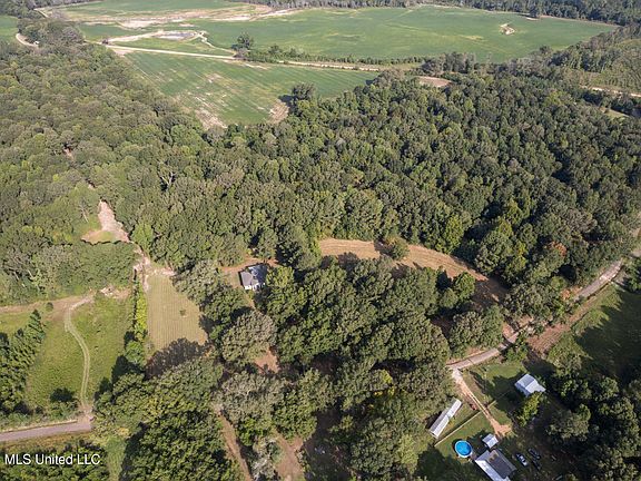 2nd image of 1194 Tom Kyzar Rd