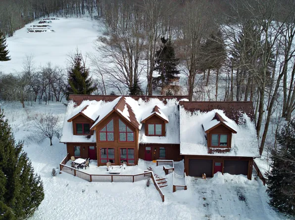 126 The Meadows Ln, Slatyfork, WV 26291