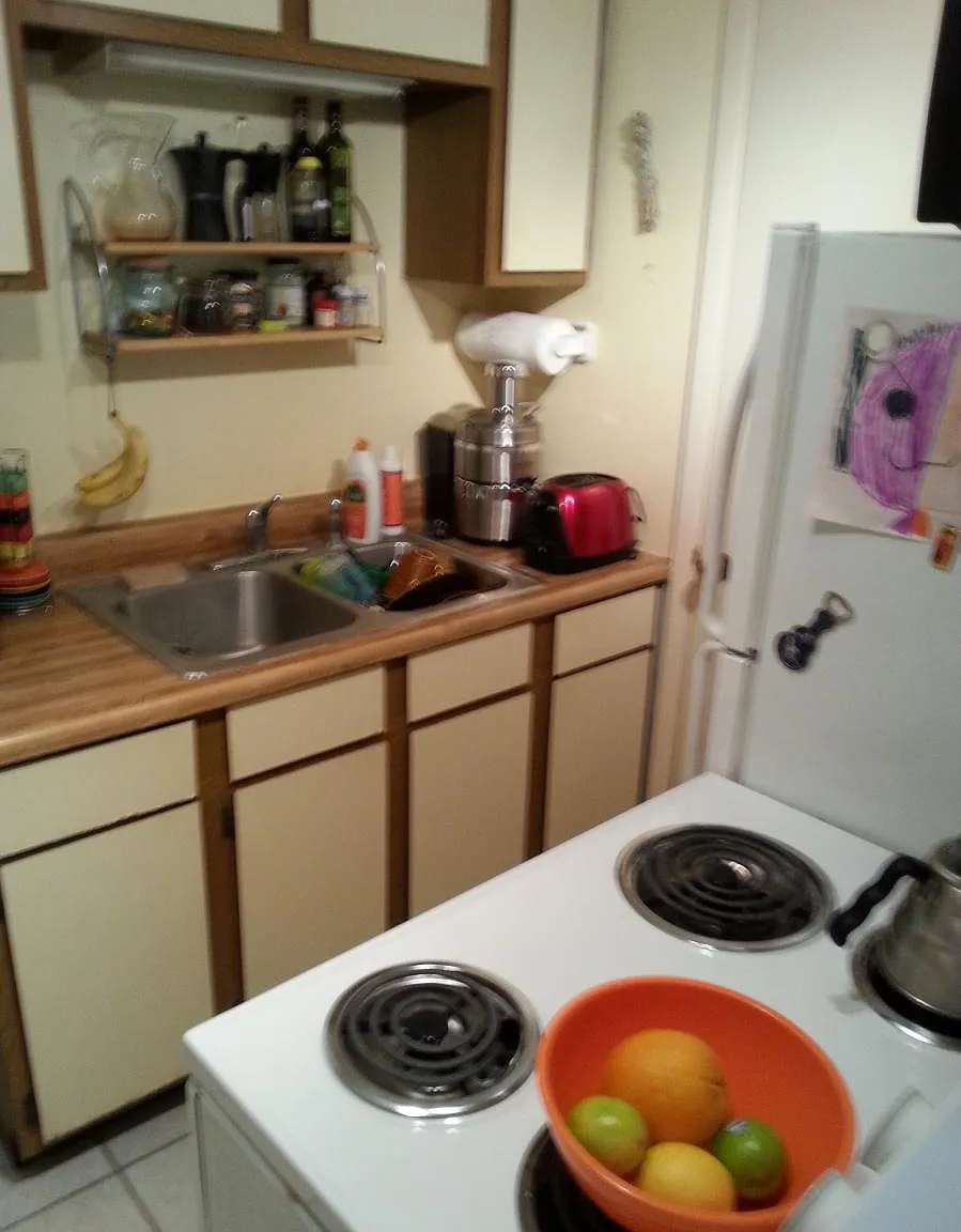 1 bed, 500 sqft, $1,600 — Photo 4