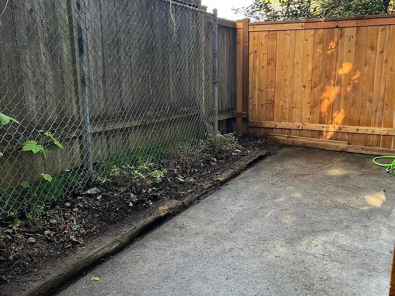 Fenced back yard