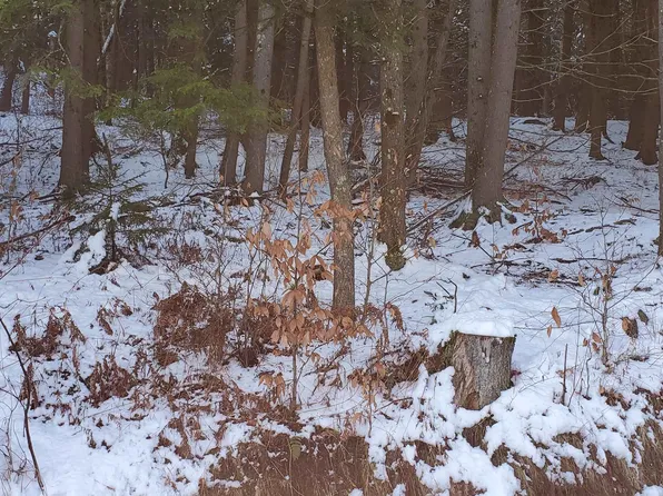 30 Bentley Lane, Jericho, VT 05465