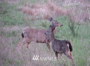 21711 Thompson Creek Rd SE, Tenino, WA 98589