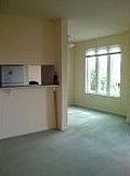 3rd image of 401 S Norfolk St APT 313