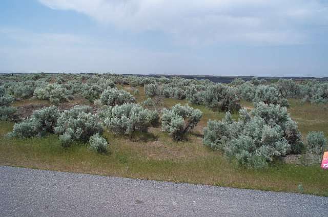 2nd image of 3407 Ridge Line Dr